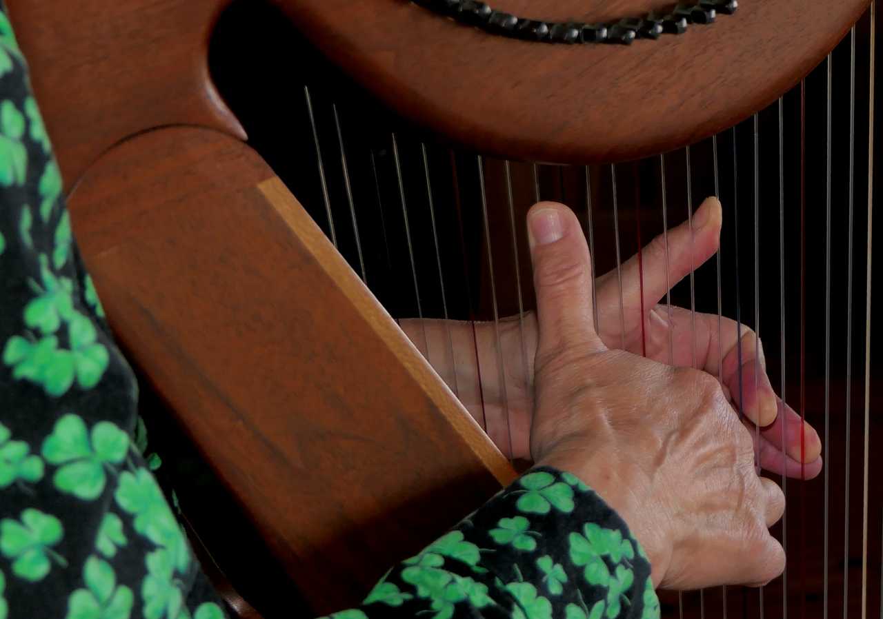 detail of a person wearing st patrick's day themed clothes and playing the harp