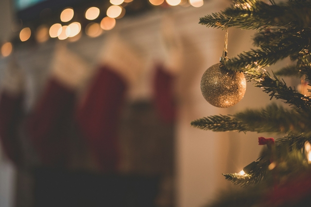 detail of a Christmas tree in a Christmas setup for holiday greeting cards