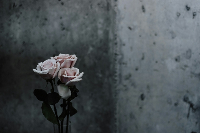 featured image thumbnail for post ๐ 40 Sympathy Messages for Loss of Father
