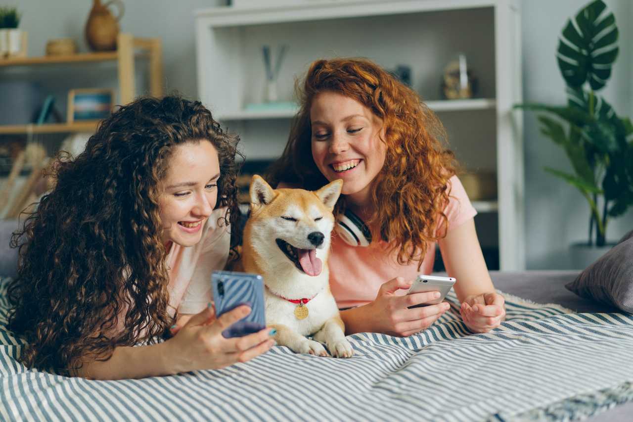 two young women in bed with their phones and a shiba inu dog sending e greeting cards