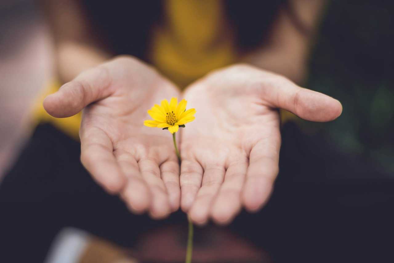 hands offering a yellow flower in sympathy for loss of father